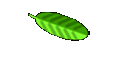 VIDRACEIRO