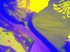  When everything feels like the movies  |  Last updated on Feb 12, 2005 - 02:52 am 