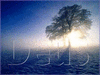  Deus...  |  May 30, 2004 - 04:43 am 