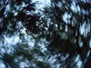  Never More  |  Jun 14, 2004 - 04:23 am 