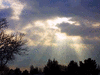  He Has Held Me  |  Jun 17, 2004 - 04:11 am 