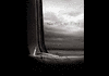  Drogas  |  Nov 18, 2004 - 05:39 am 