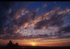  Give Up  |  Nov 28, 2004 - 07:48 am 