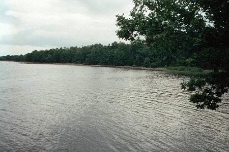 Silent Waters