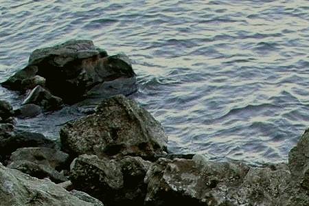 Water's Ripple