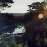 In the Woods - Return to the Isle of Men