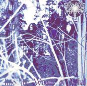 Thou Shall Suffer - Into The Woods Of Belial