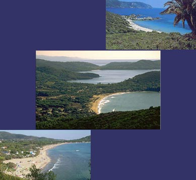 strand