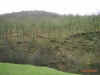 riotuerto.jpg (66268 bytes)