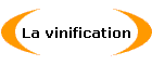 La vinification