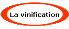 La vinification