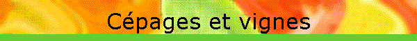 C�pages et vignes