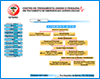 www.ressuscitacao.med.br