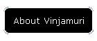 About Vinjamuri