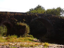 Uvas de Albari&ntilde;o