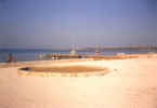 beach.jpg (34806 bytes)