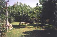 room3.jpg (52441 bytes)