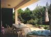 garden.jpg (24084 bytes)
