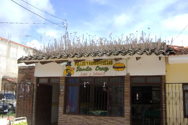 cotoca_200.jpg