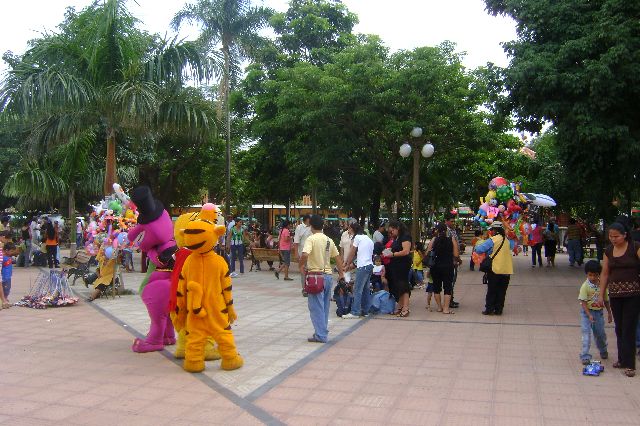 cotoca_25.jpg