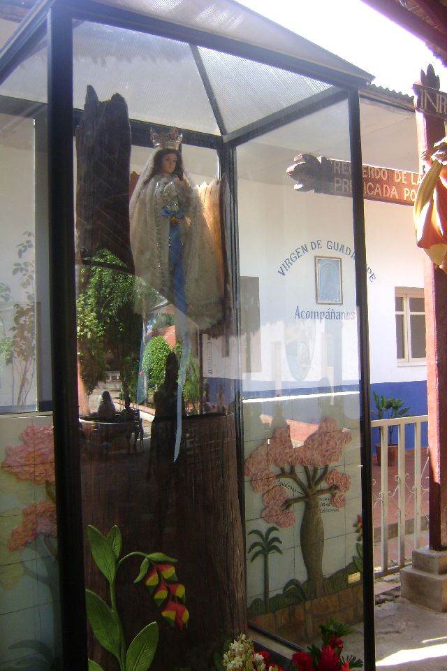 cotoca_81.jpg