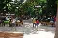 cotoca_165
