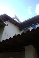 cotoca_85