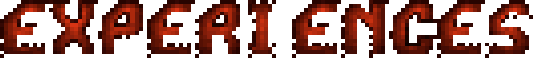 EXPERIENCES TITLE