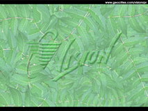 View Wallpaper