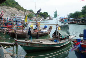 haven