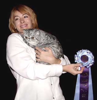 Mops - Irina