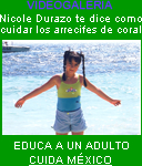 Nicole Durazo te dice como cuidar los arrecifes de coral