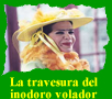 La travesura del inodoro volador