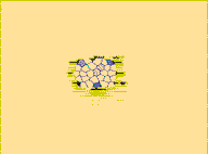 calesidosy.gif (42783 bytes)