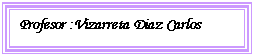 Cuadro de texto: Profesor :Vizarreta Diaz Carlos