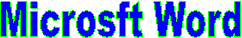 Microsft Word