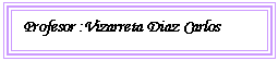 Cuadro de texto: Profesor :Vizarreta Diaz Carlos