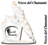 Voces del Chamamé