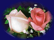 ROSAS