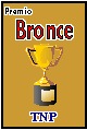 P�gina premiada por Tu Nuevo Portal. Galardon de Bronce