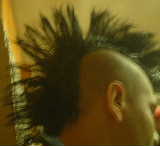 my late hawk about 2 monts before its death