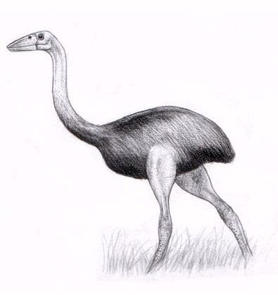 Ville's Vorompatra