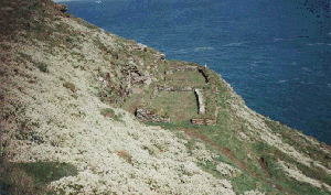 the buildings at site "C"