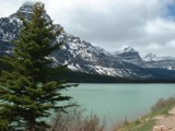 Le lac Peyto, d�gel� et d'un bleu indescriptible