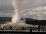 Le fid�le et incontournable geyser Old Faithfull