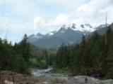 paysage de Vancouver Island en se rendant vers Tofino