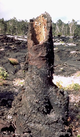Molde de �rvore de lava, Hava�.