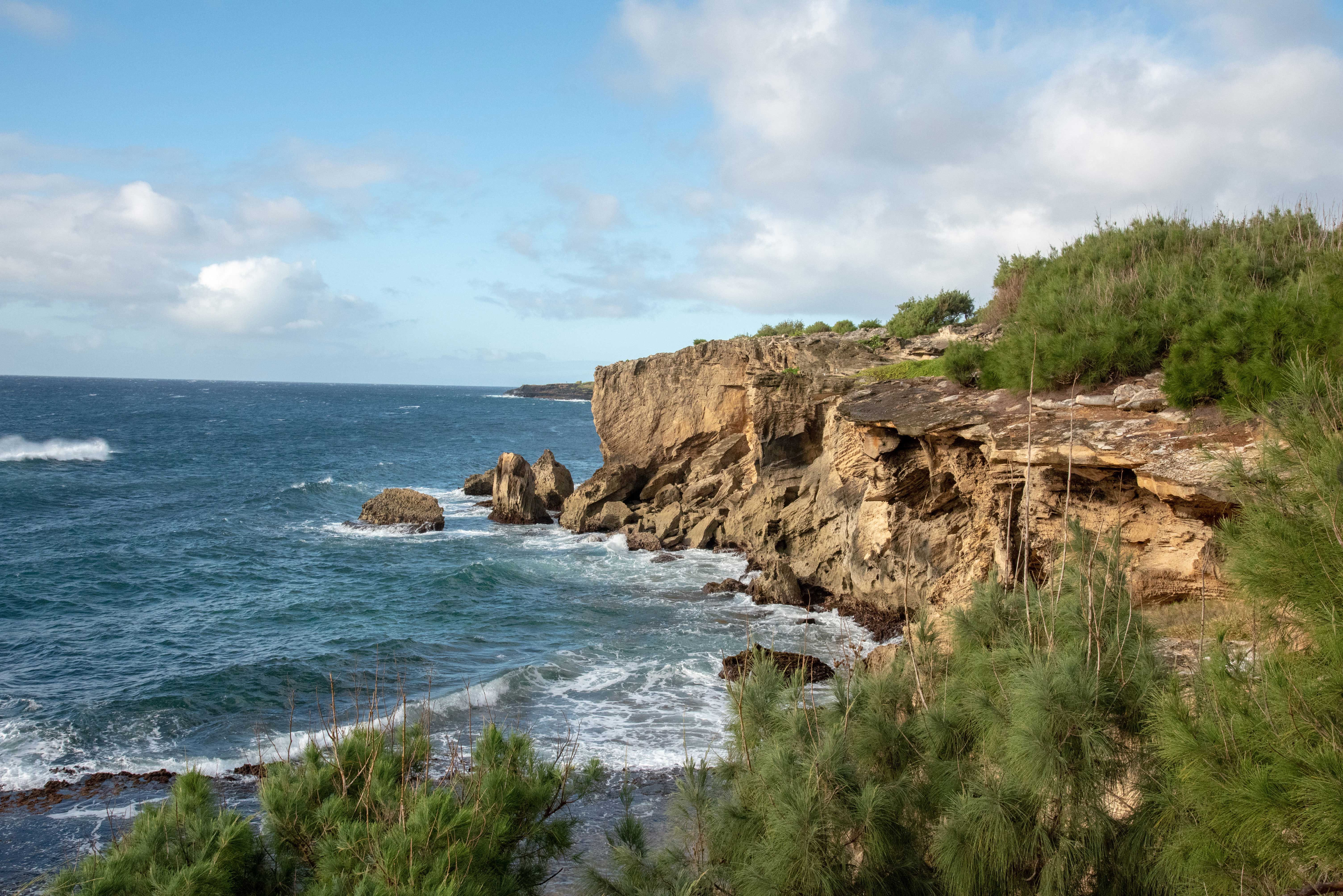 cliff edge with ocean at base
