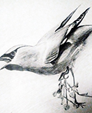 scene-7-thumbnail
