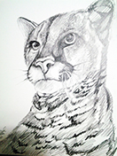 scene-8-thumbnail